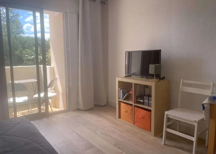 Avec Balcon, Parking Et Wi-fi Pres Des Thermes De - Fr-1-553-202 Balaruc-les-Bains